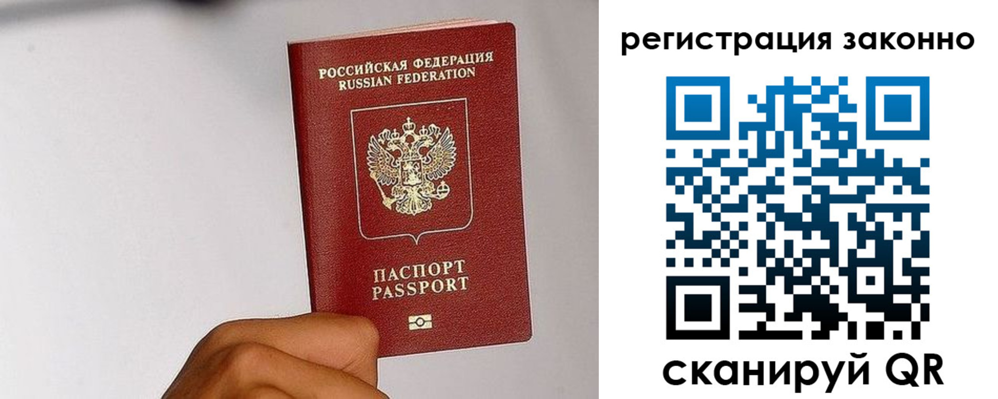 временная регистрация гарантия в Курской области